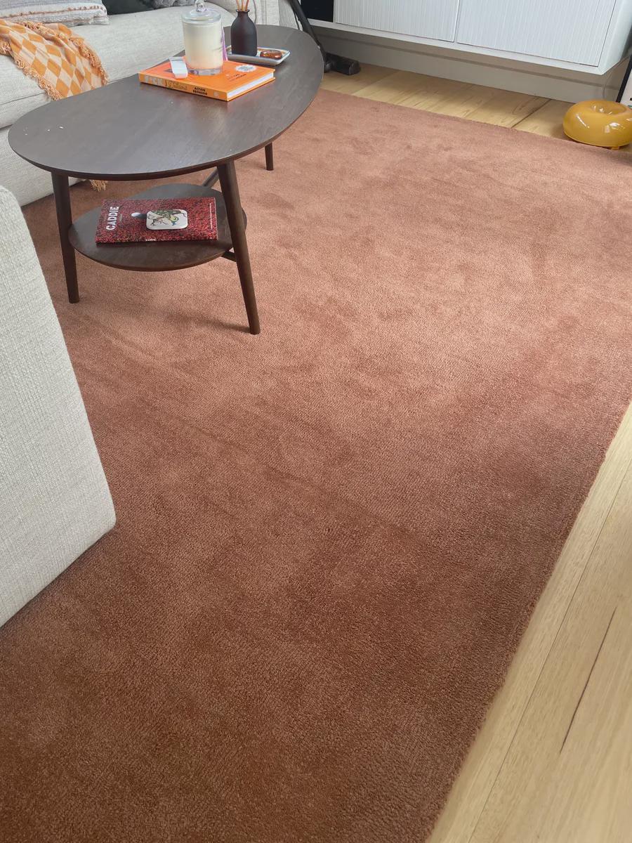Hand-Tufted New Zealand Wool Rug: Solid Rust Color, Soft Texture